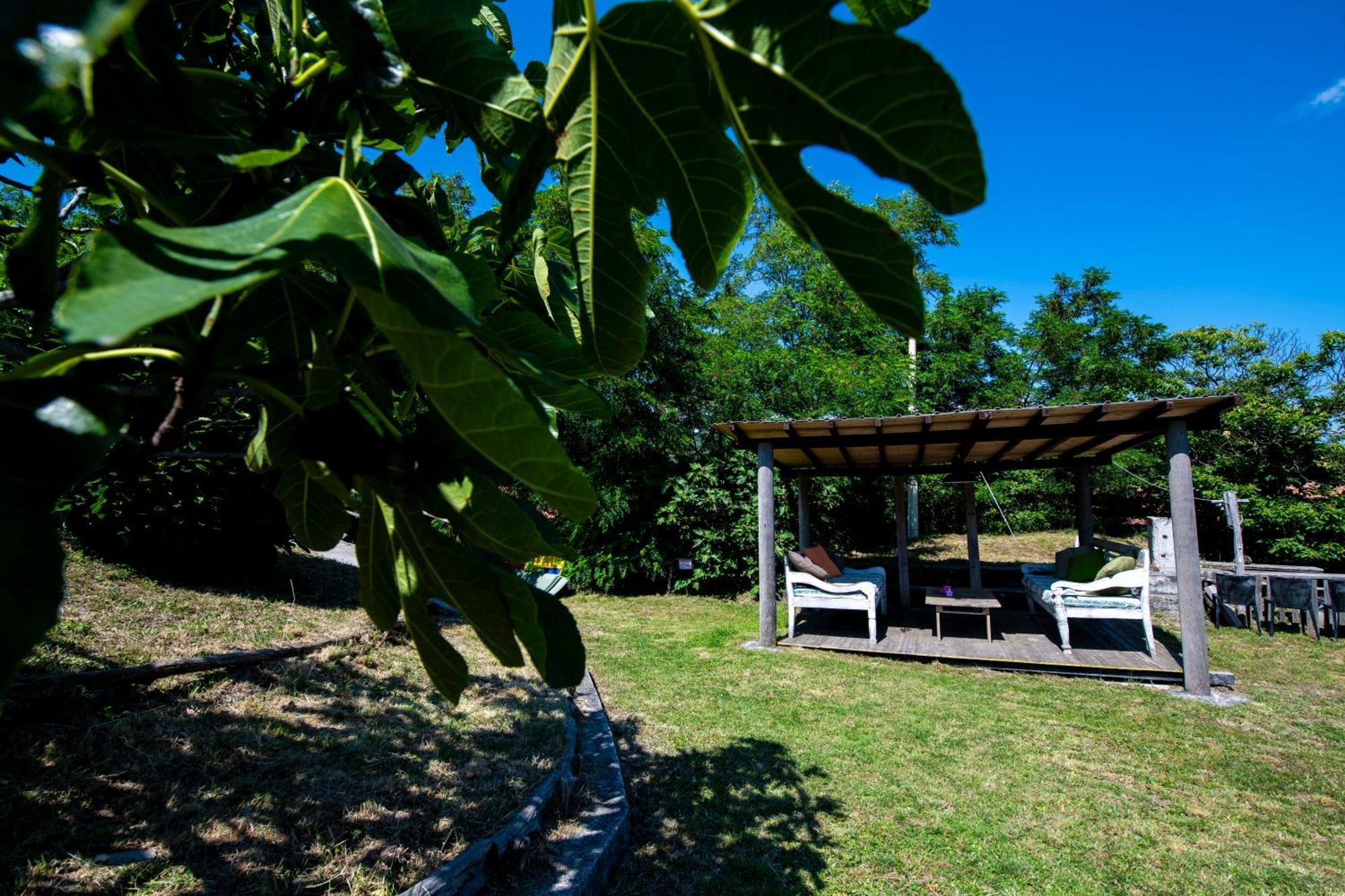 211 - Appartamento Acacia, Terrazza Giardino E Piscina 카로 외부 사진