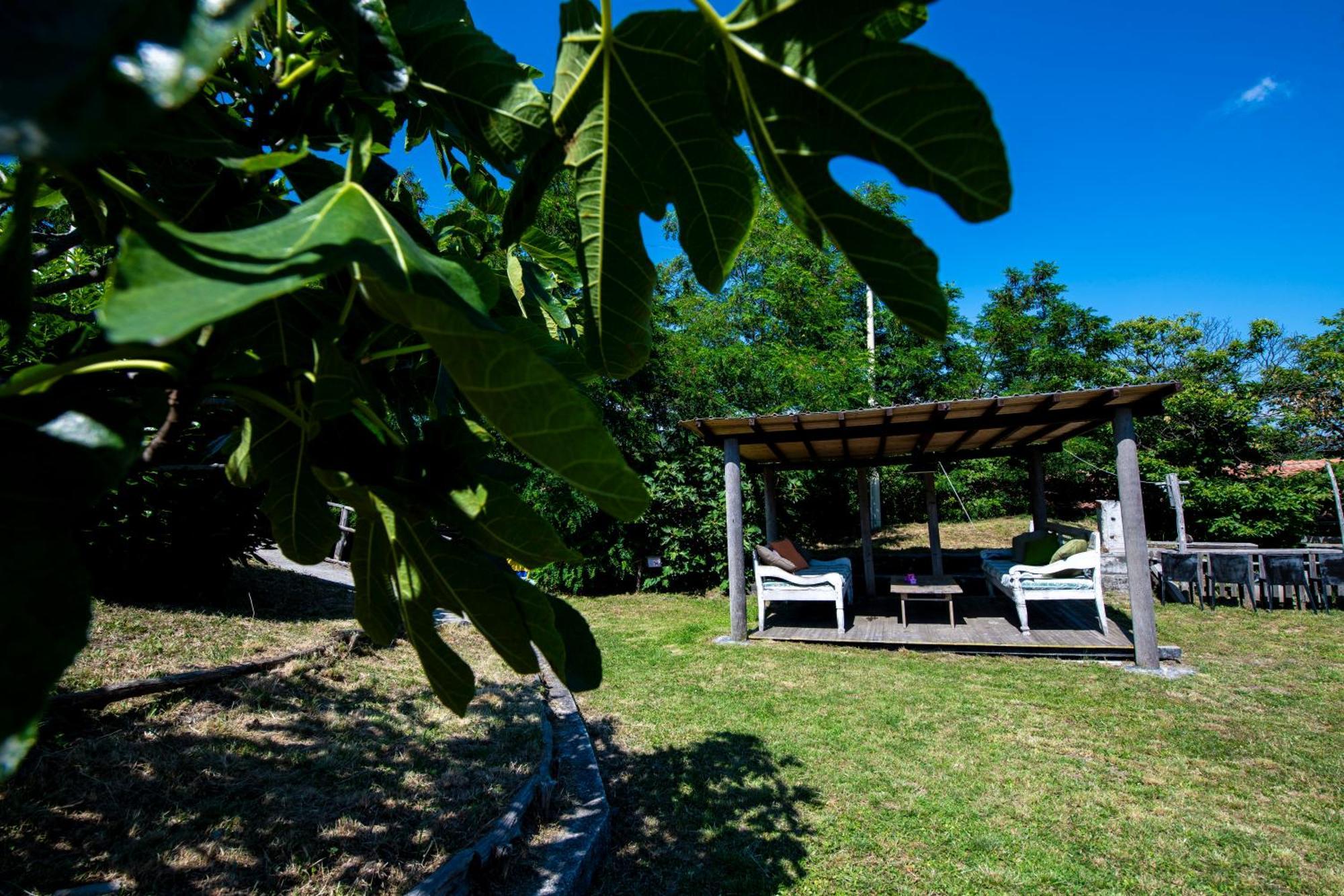 211 - Appartamento Acacia, Terrazza Giardino E Piscina 카로 외부 사진
